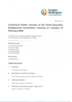 Confirmed Public minutes of Chief Executive Employment Committee meeting 10 February 2026  preview