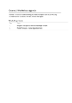 Council workshop Public agenda 15 October 2026 preview